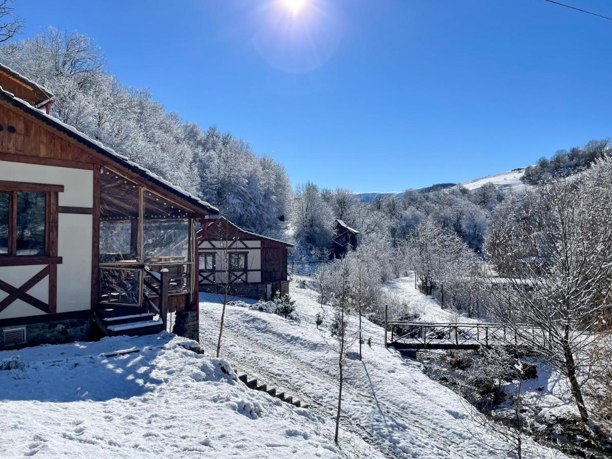 Ecokayan Dilijan Resort Hotel Kültér fotó