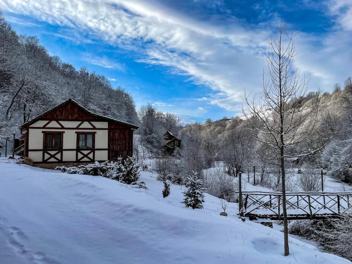 Ecokayan Dilijan Resort Hotel Kültér fotó
