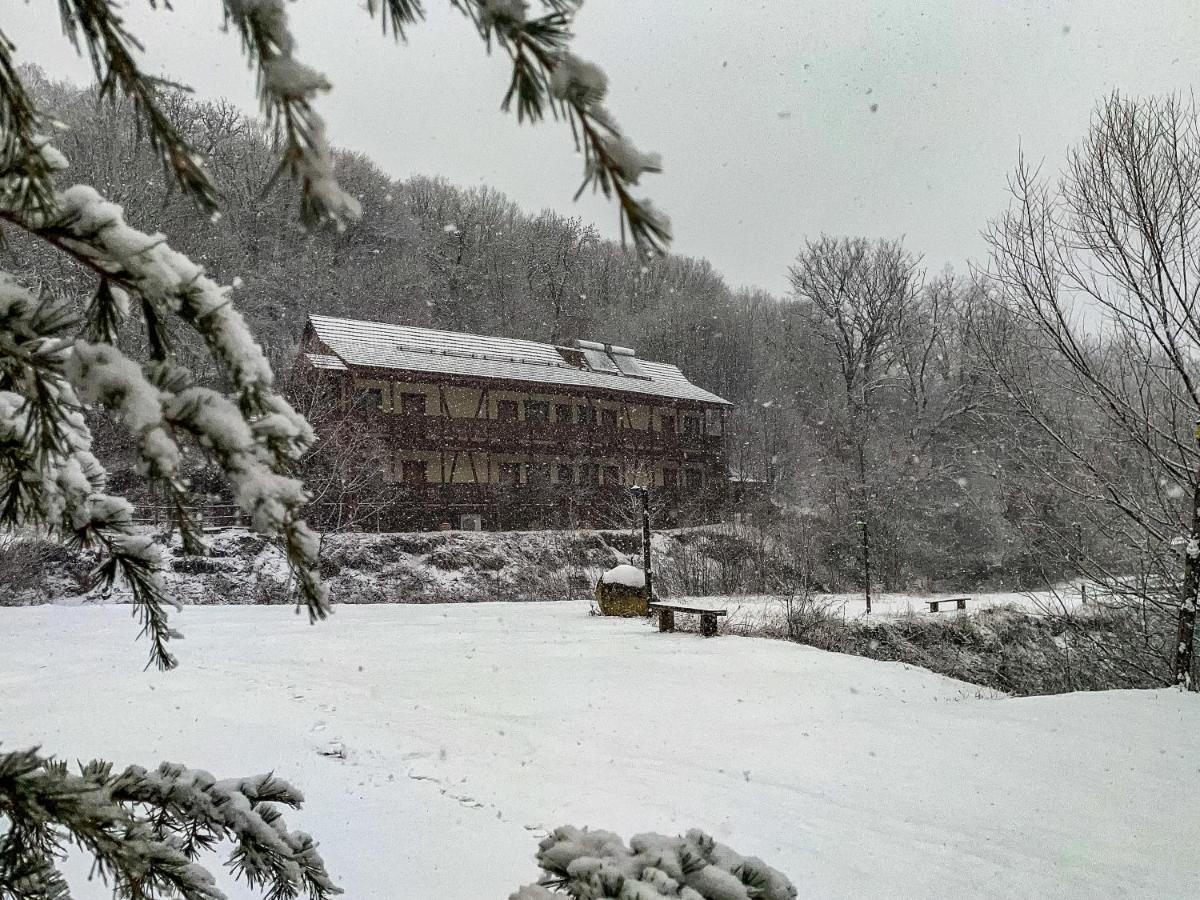 Ecokayan Dilijan Resort Hotel Kültér fotó