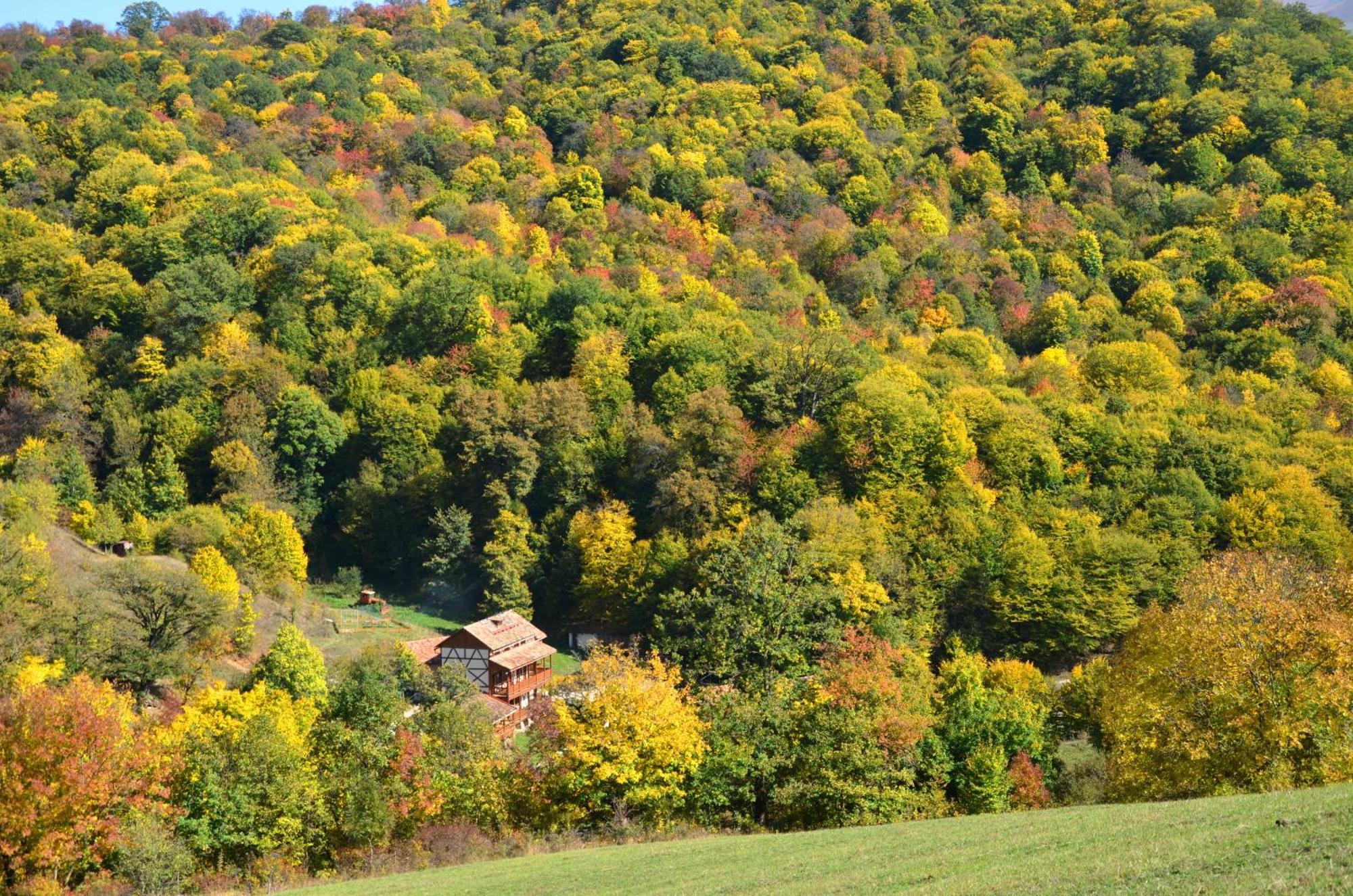Ecokayan Dilijan Resort Hotel Kültér fotó