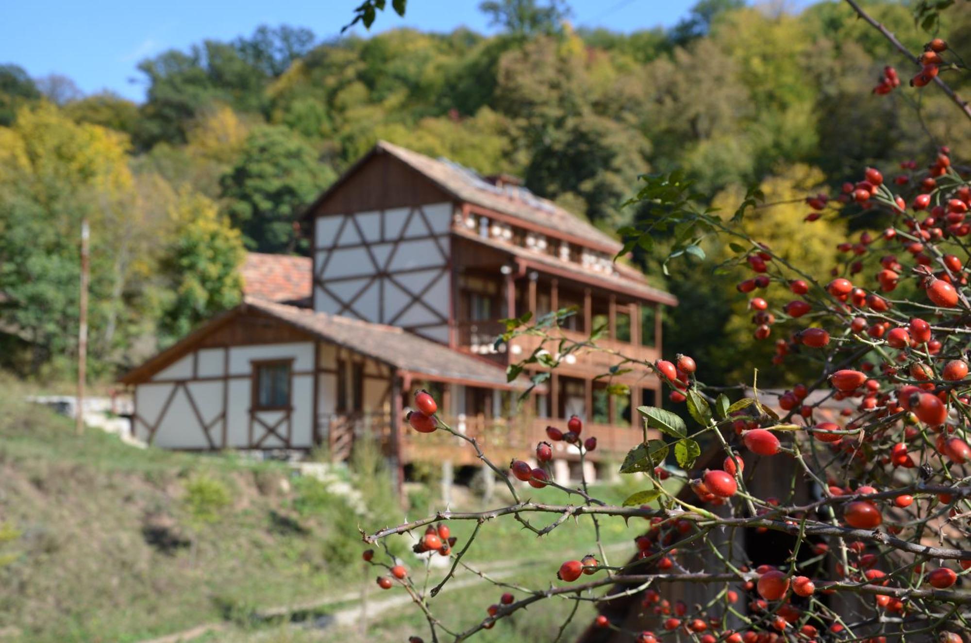 Ecokayan Dilijan Resort Hotel Kültér fotó