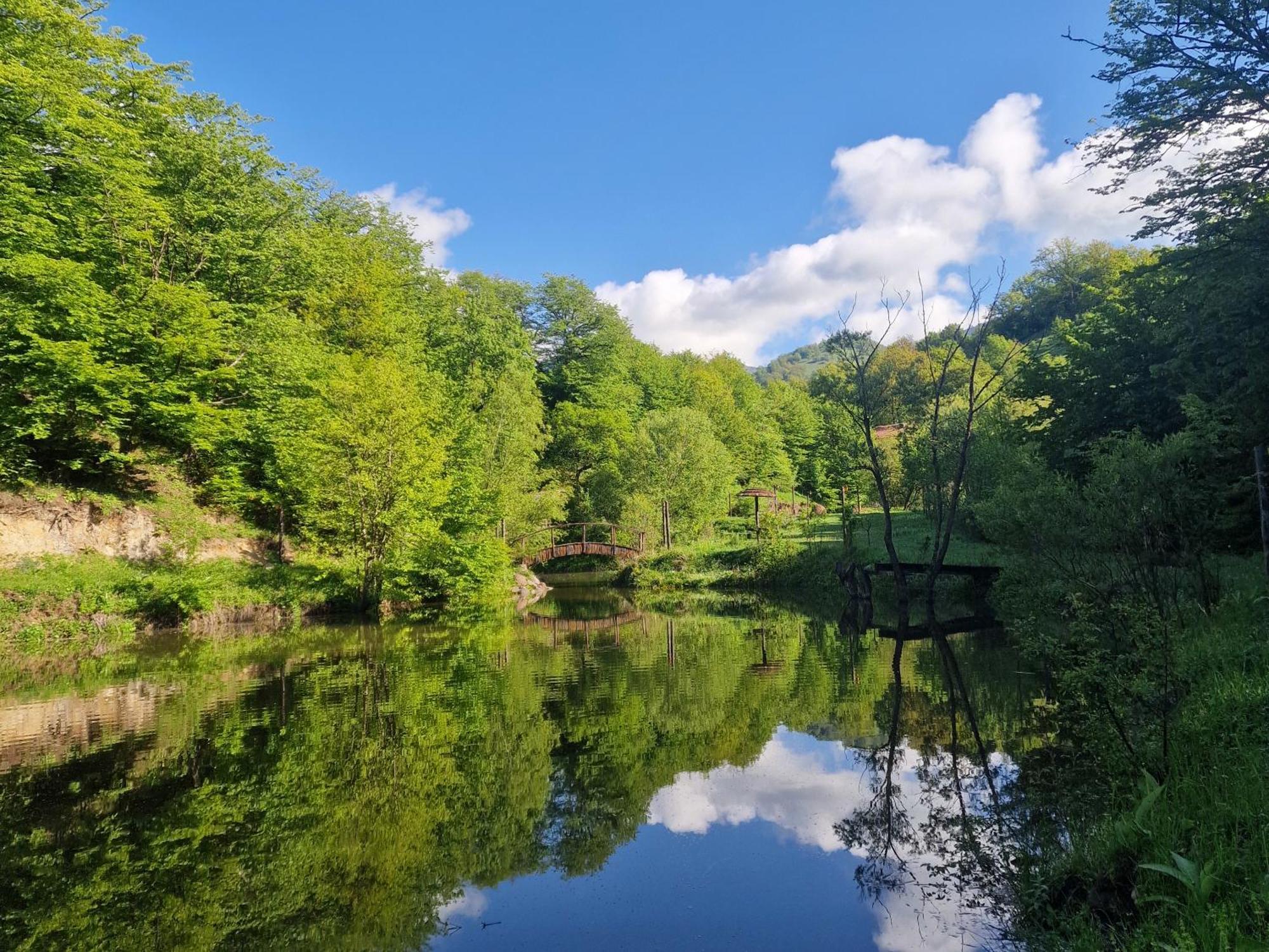 Ecokayan Dilijan Resort Hotel Kültér fotó