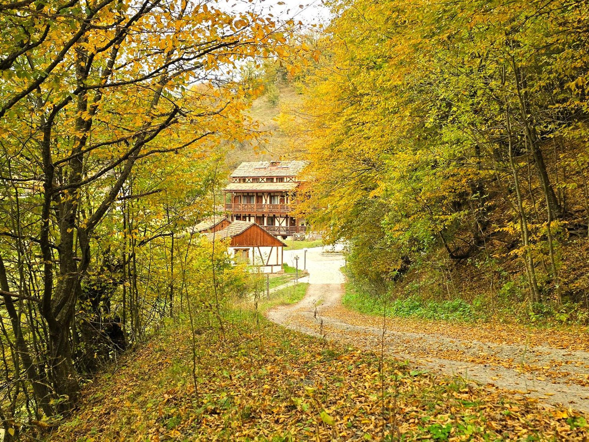 Ecokayan Dilijan Resort Hotel Kültér fotó