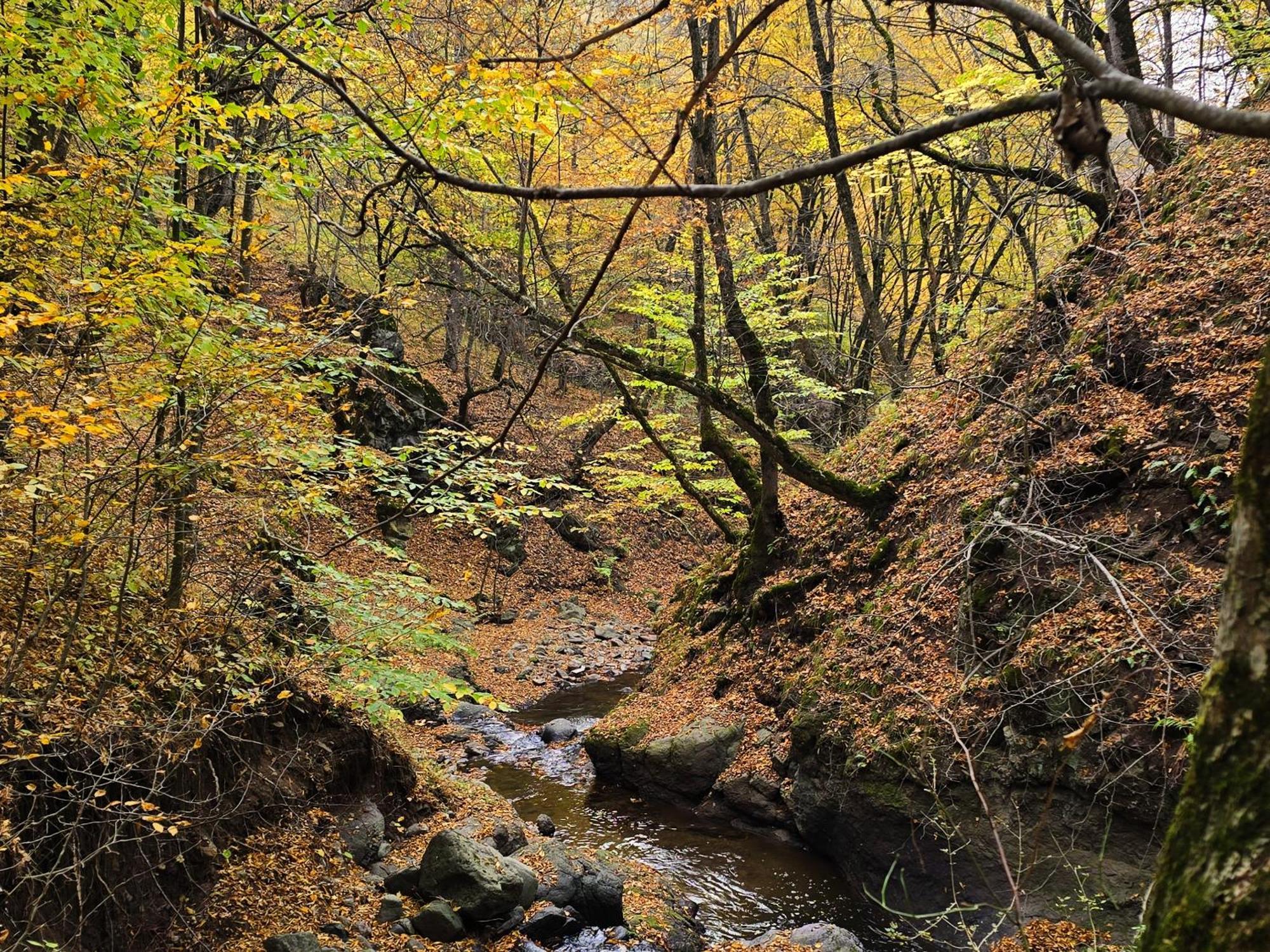 Ecokayan Dilijan Resort Hotel Kültér fotó